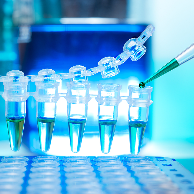 N,N’-雙(3-氨丙基)-乙撐二胺(N4胺)CAS No:10563-26-5，高性能環氧固化劑應用于復合材料